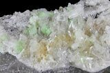 Green Augelite Crystals on Quartz - Peru #173390-3